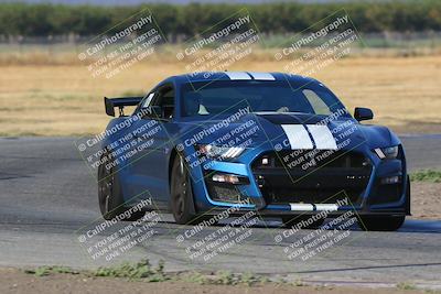 media/Sep-17-2023-Speed Ventures (Sun) [[7e780ba612]]/Green/Session 1 (Grapevine)/